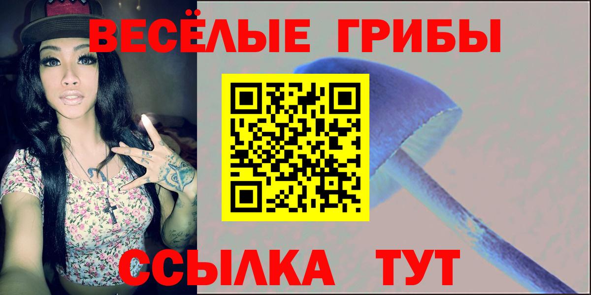 Галлюциногенные грибы прущие грибы Междуреченск