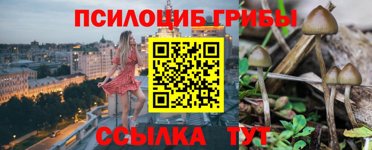 даркнет сайт  Вход с VPN  Псилоцибиновые грибы Cubensis  Междуреченск  Галлюциногенные грибы Magic Shrooms 